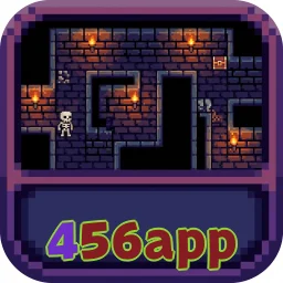 456app