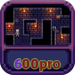 600pro